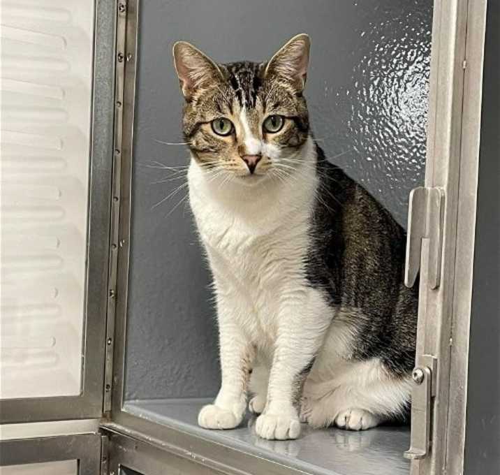 Photo of Puzzle