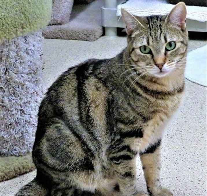 Photo of Val
