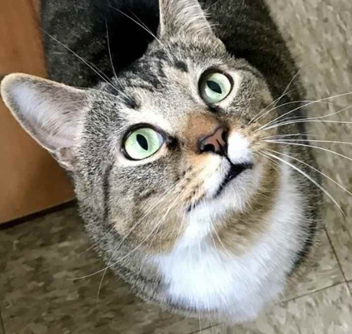 Photo of Boots