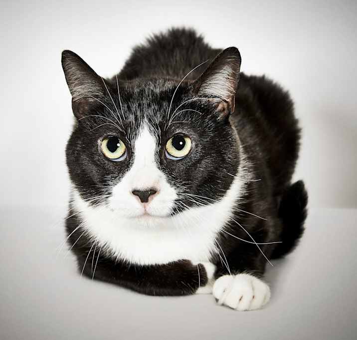 Photo of Buford