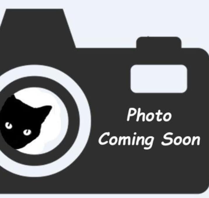 Photo of Gizelle