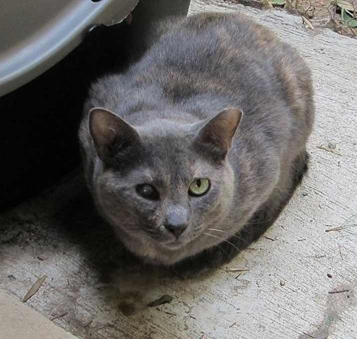 Photo of Sylvia