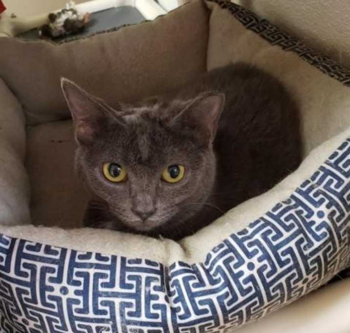 Photo of Simone