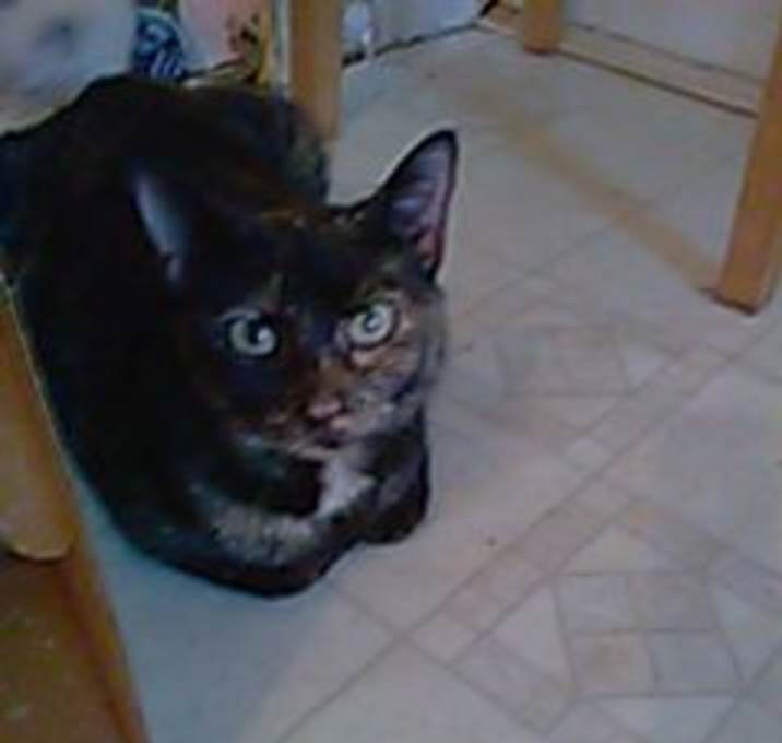 Photo of Precious