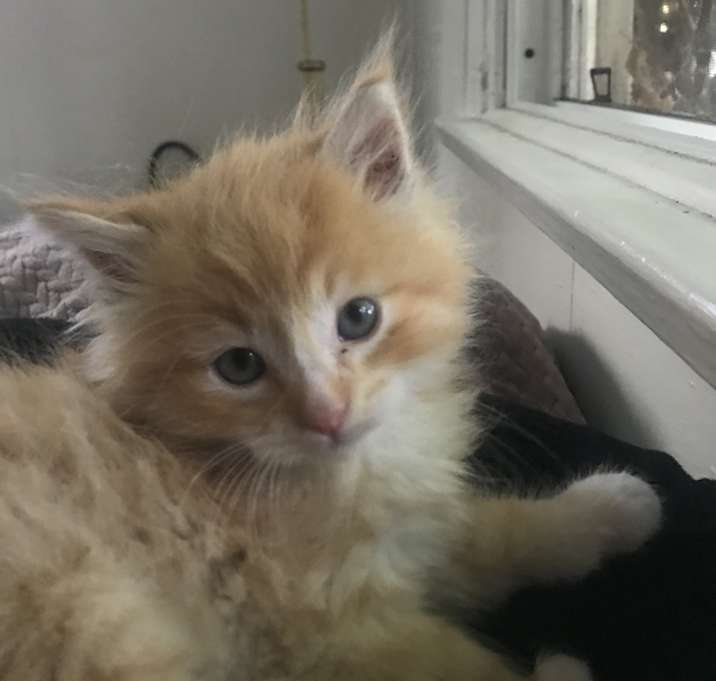Photo of Caleb