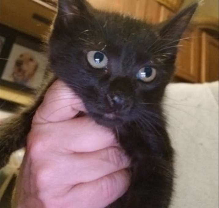 Photo of Nyx