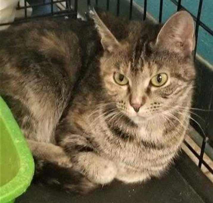 Photo of Cloudy