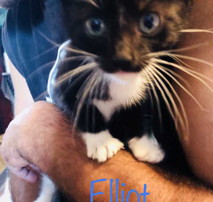 Photo of Elliot
