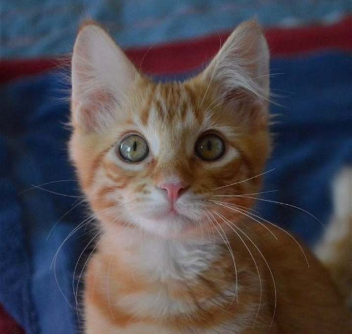 Photo of DENNY