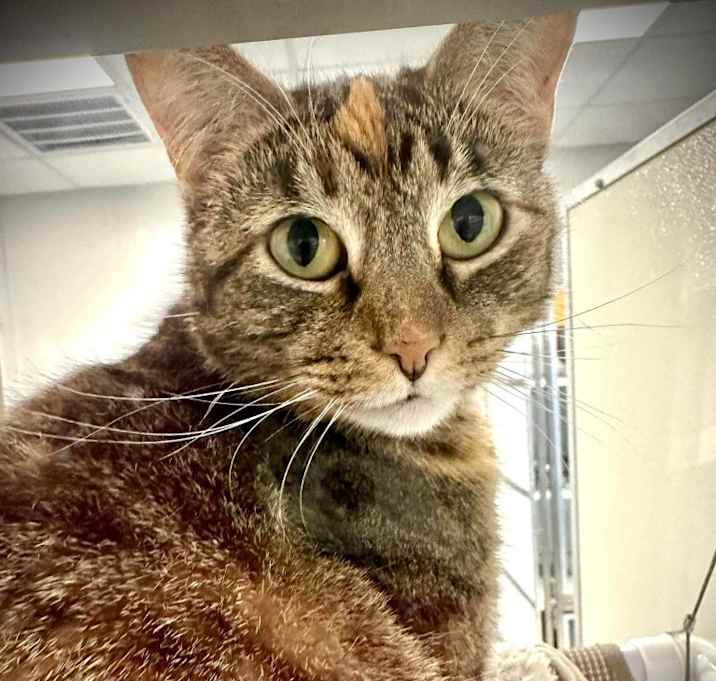 Photo of MEG