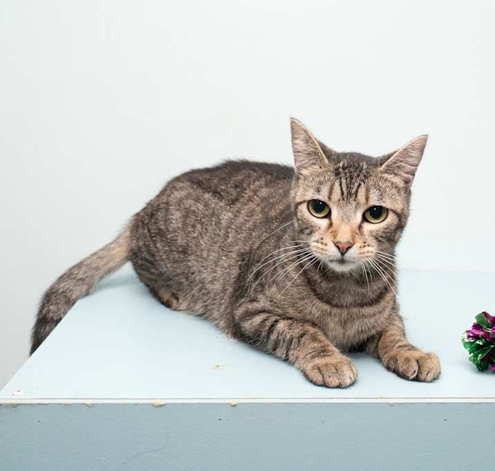 Photo of Tabitha