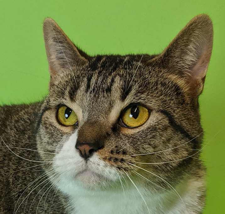 Photo of Sloane