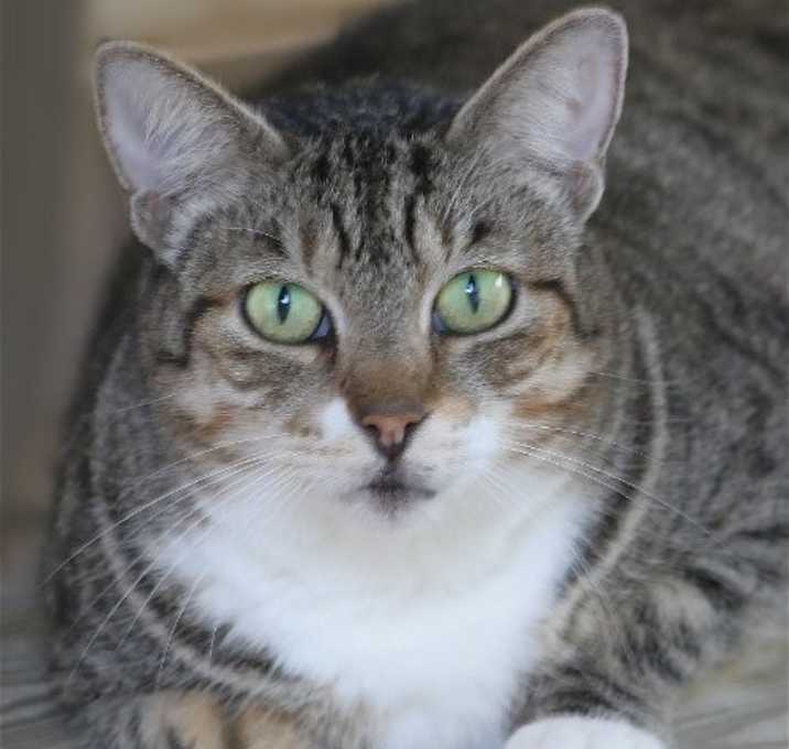 Photo of Phoebe
