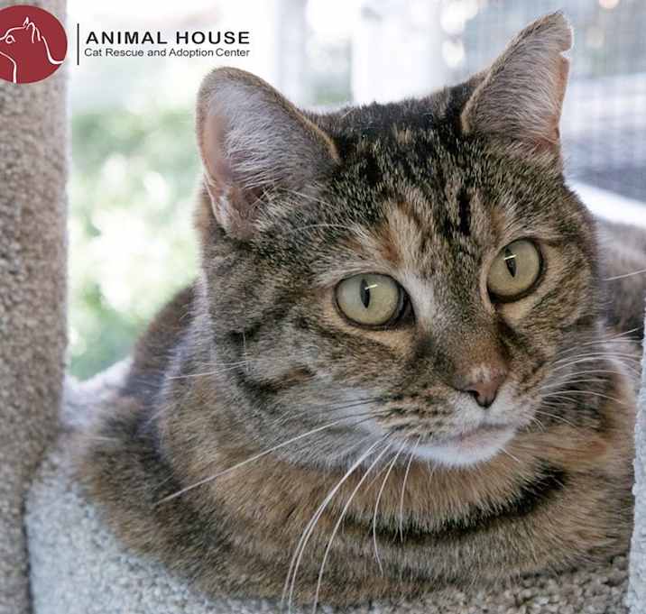 Photo of Tallulah