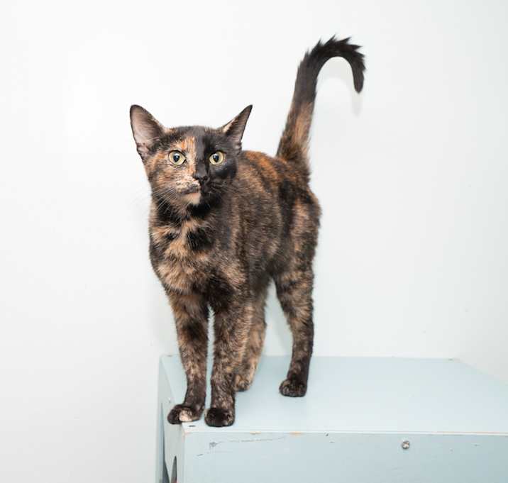 Photo of Ramona
