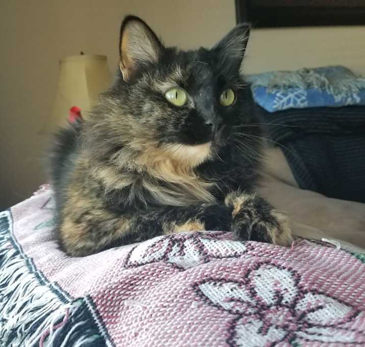 Photo of Molly