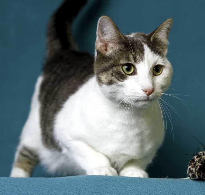 Photo of Rowdy