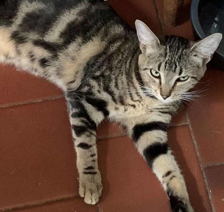 Photo of Leia