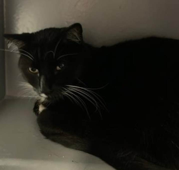 Photo of Baxter