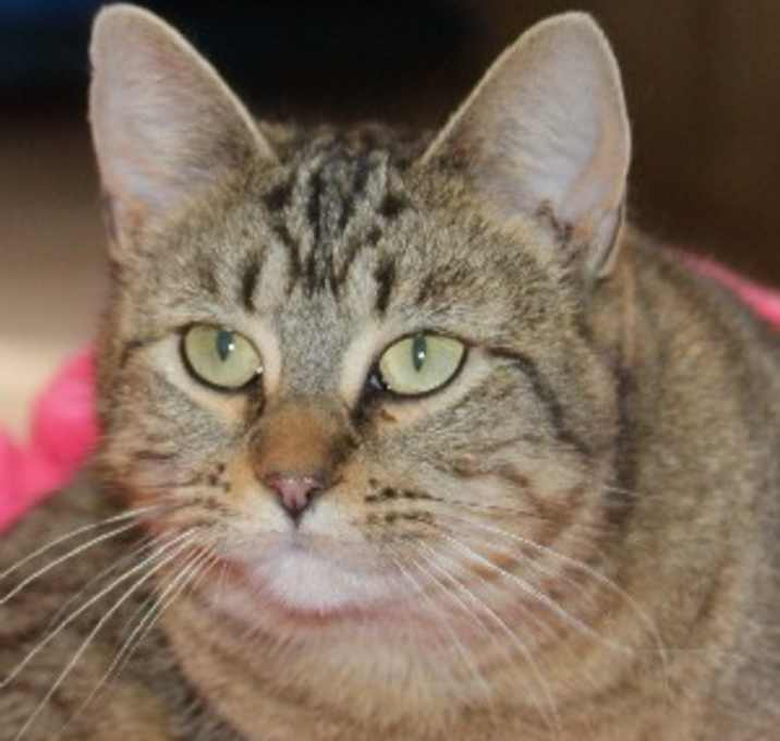 Photo of Gloria