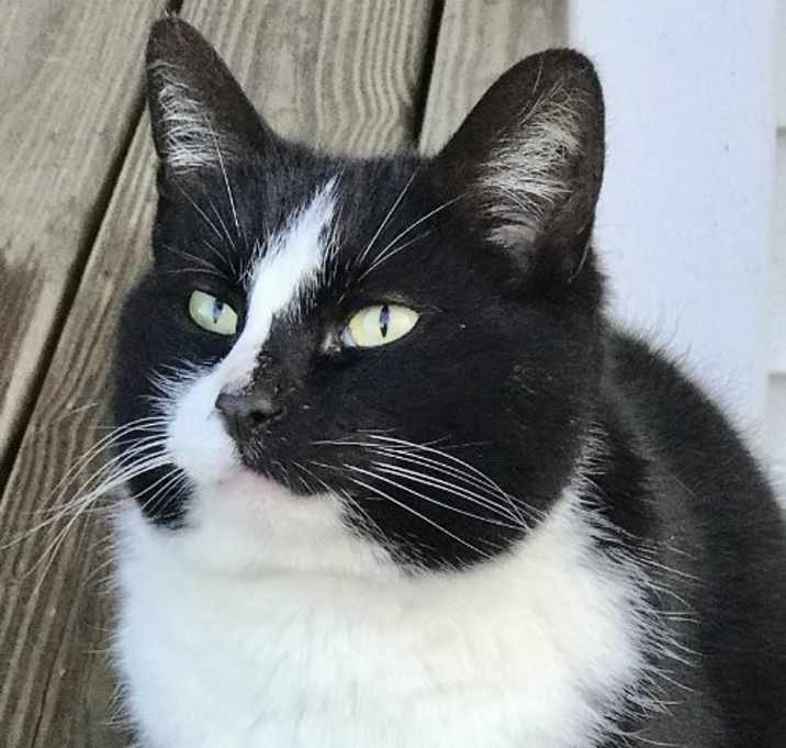Photo of Craig