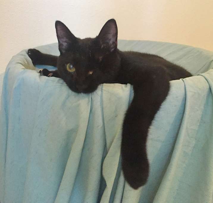 Photo of Mia