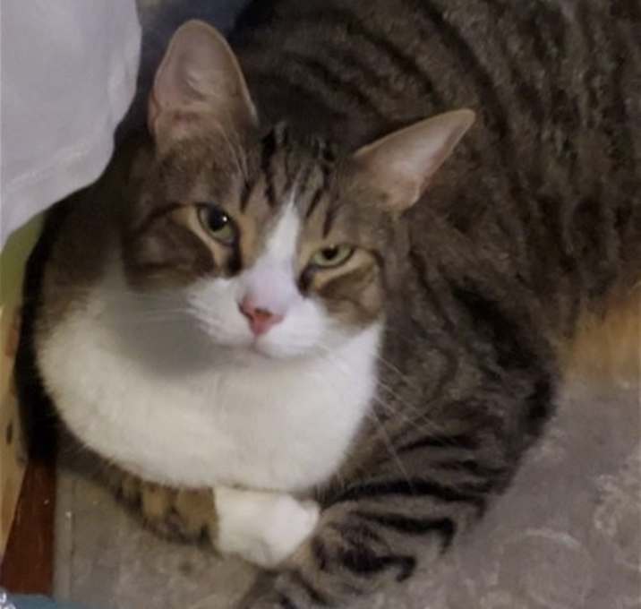 Photo of Lucky R
