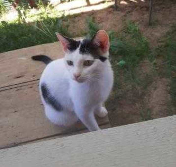 Photo of Jackie