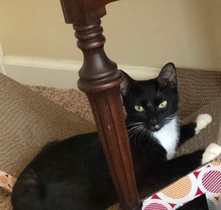 Photo of Annie 4