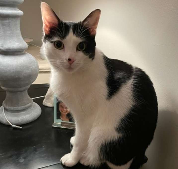 Photo of Rosie