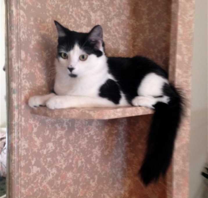 Photo of Timmy
