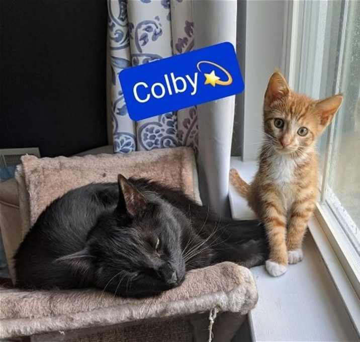 Photo of Colby