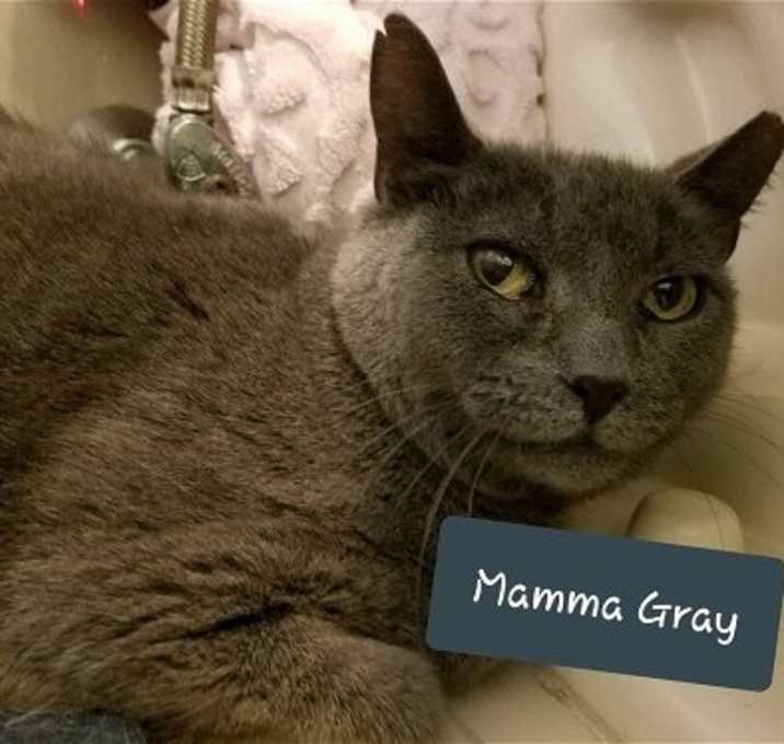 Photo of Mamma Gray