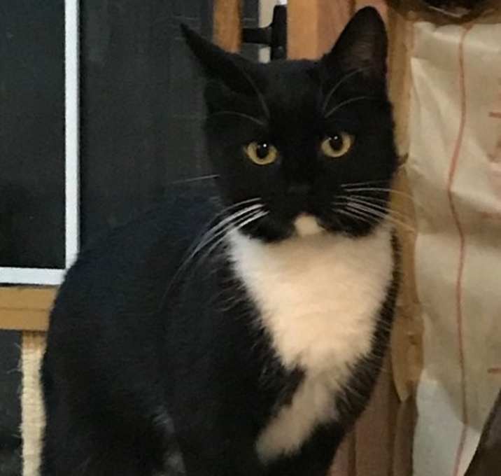 Photo of Daphne