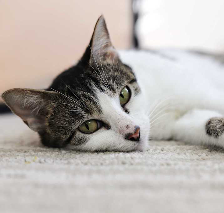 Photo of Maya