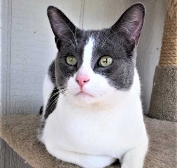 Photo of Ben