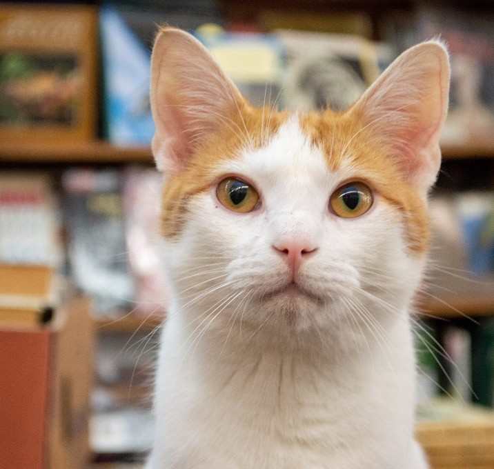 Photo of Jefferson