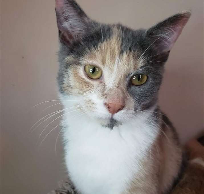 Photo of Lilee