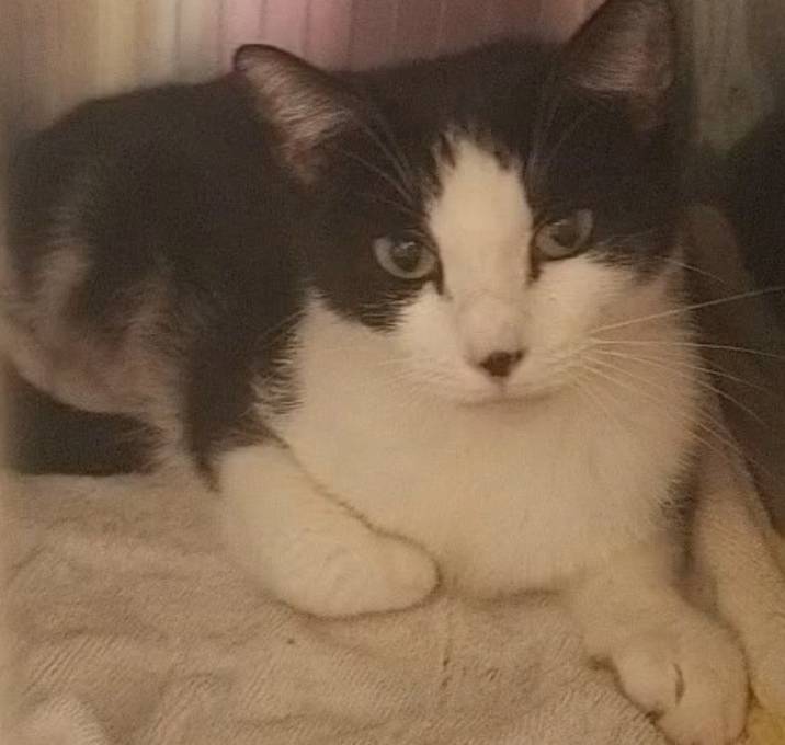 Photo of Lucy