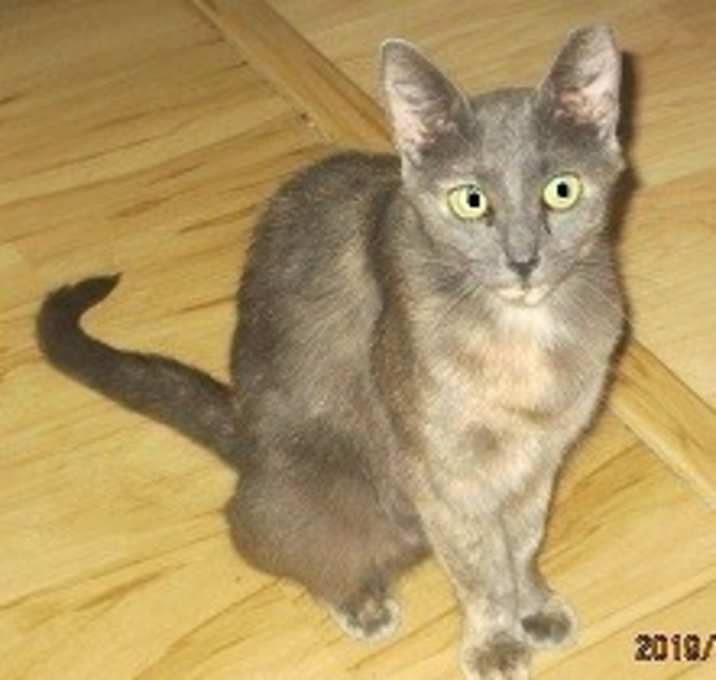 Photo of Dina