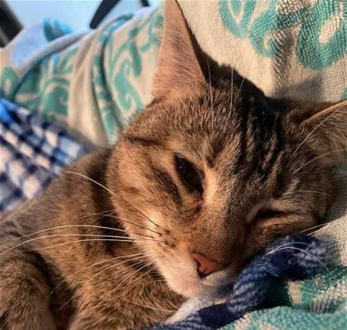 Photo of Tabitha
