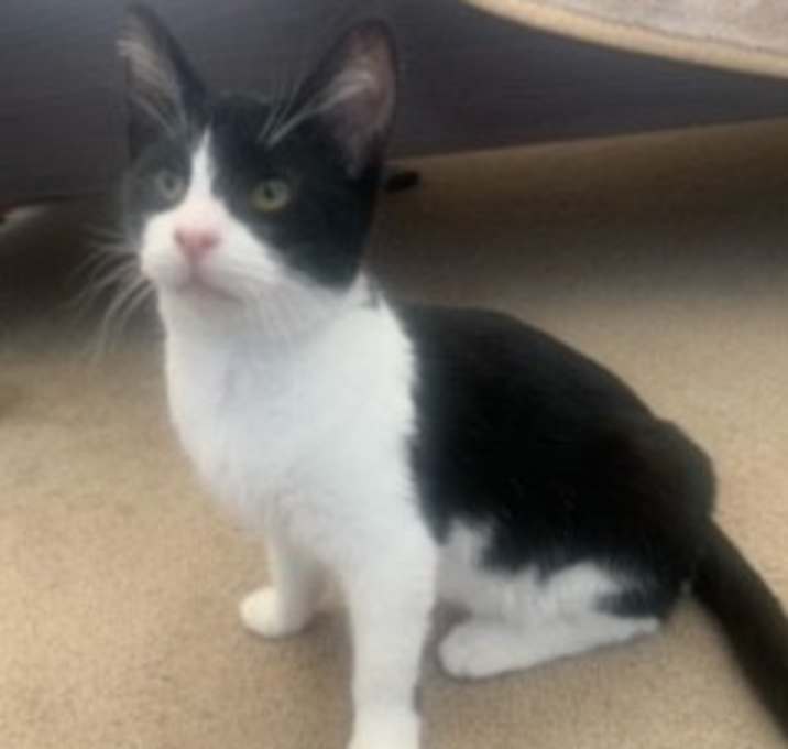 Photo of Cleo