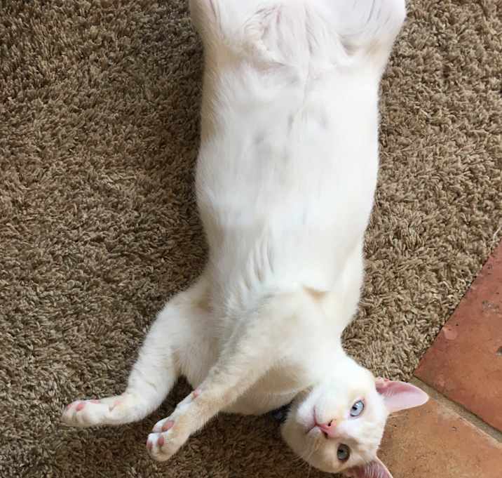 Photo of Skylar