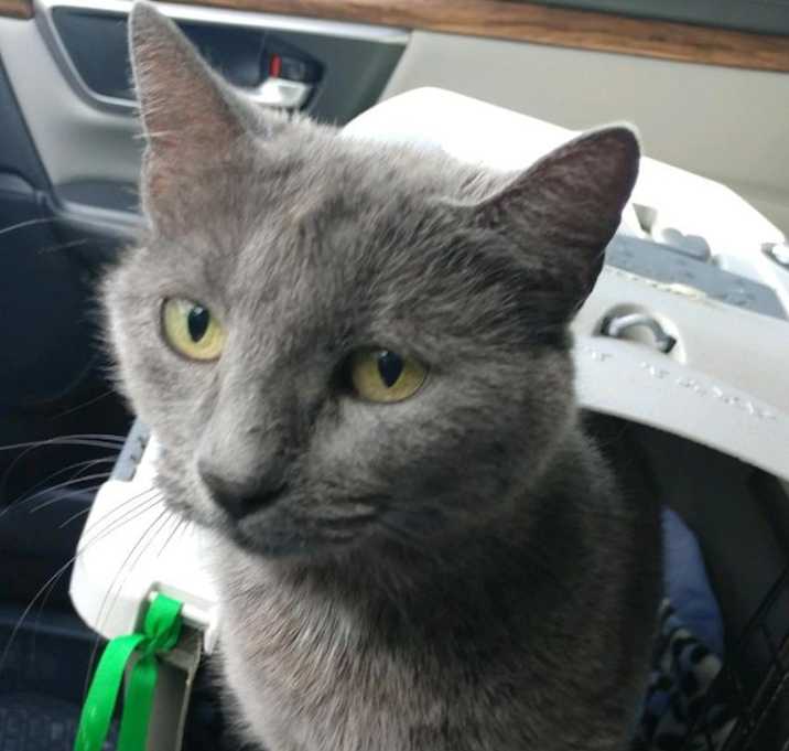 Photo of Skye