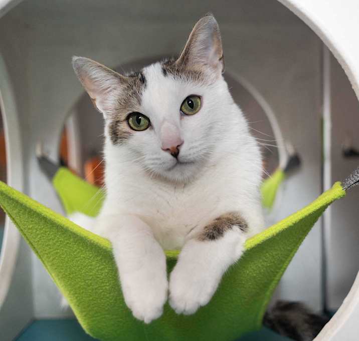 Photo of Gaspar
