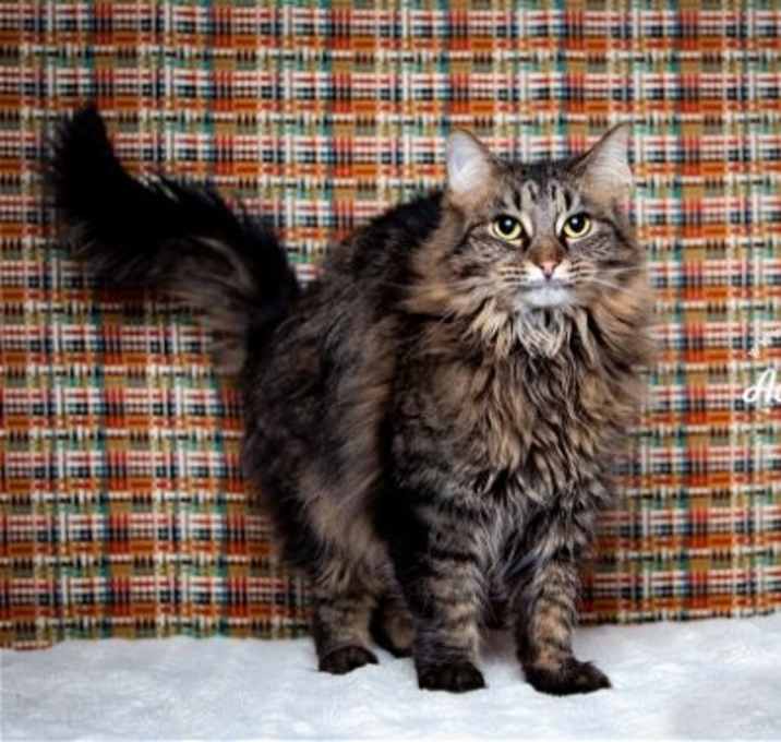 Photo of Miss Molly