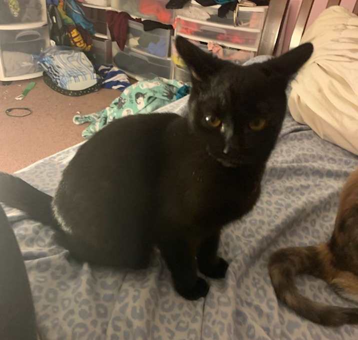 Photo of Tuck