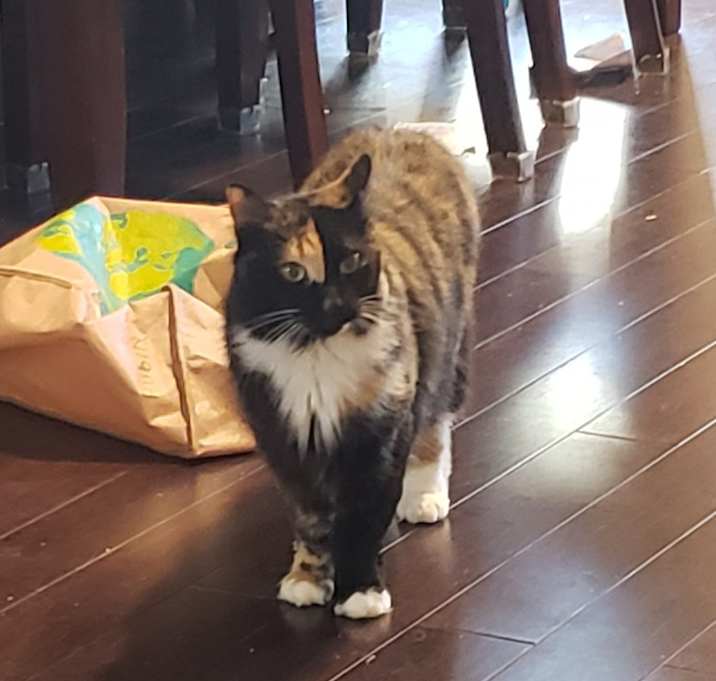 Photo of Lucy