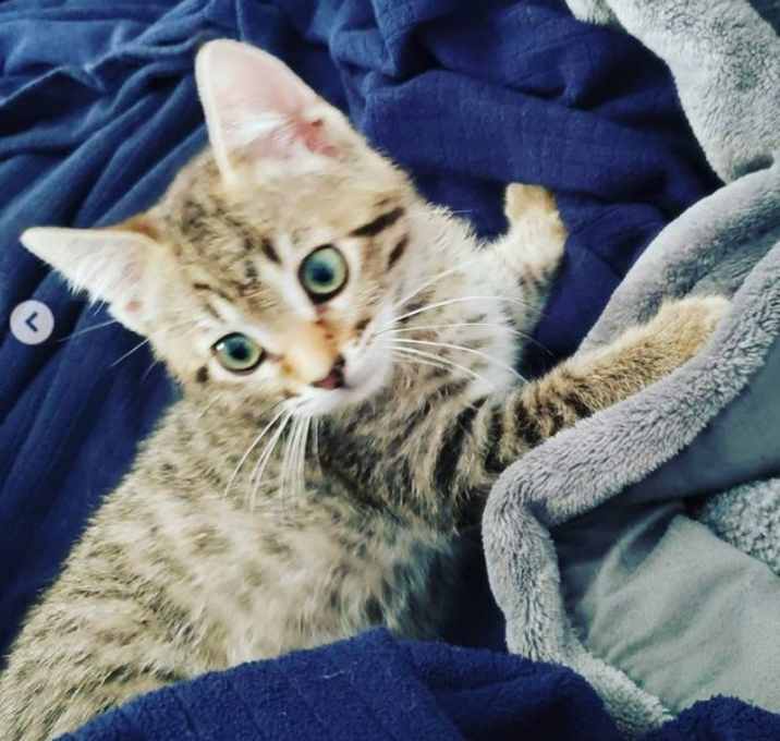 Photo of Eleanor