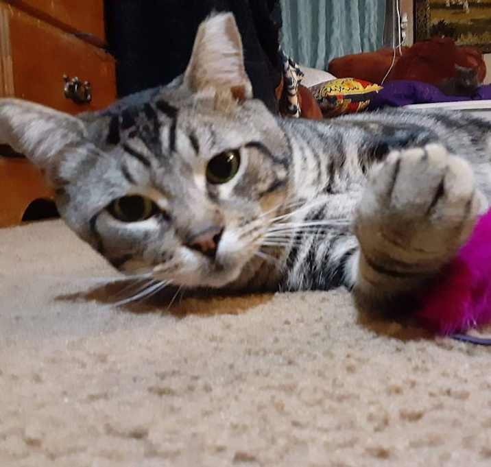 Photo of Oscar